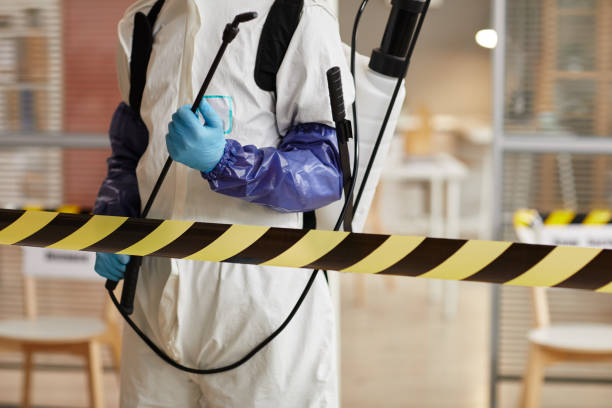 Professional Sewage Cleanup technician working in Cedar Grove, FL